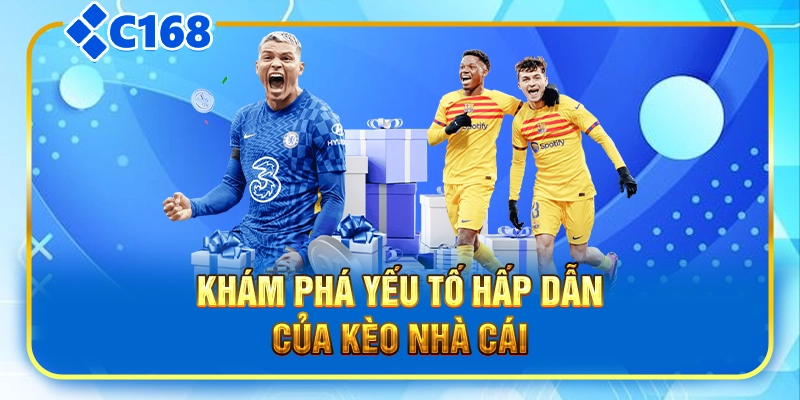 Khám phá yếu tố hấp dẫn của kèo nhà cái